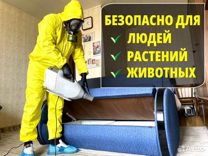 Уничтожение тараканов