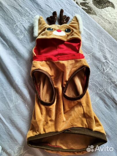 Костюм для собаки