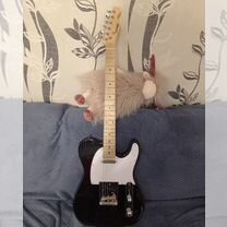 Homage telecaster