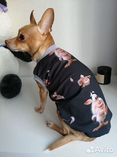 Одежда для собак, кошек