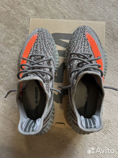 Adidas yeezy boost 350 beluga