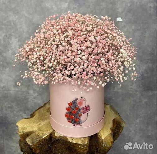 Букет Цветы Гипсофилы