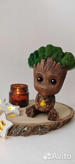 Кашпо Грут Милаш с мхом