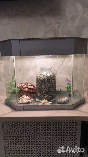 Аквариум
