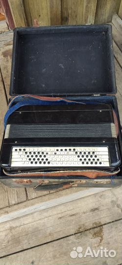 Баян тульский