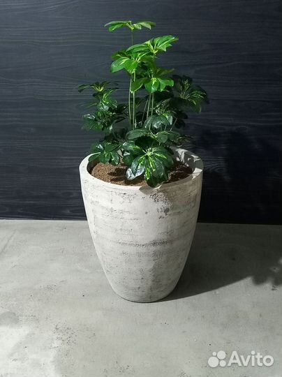 Вазоны, Горшки, Кашпо под заказ из бетона