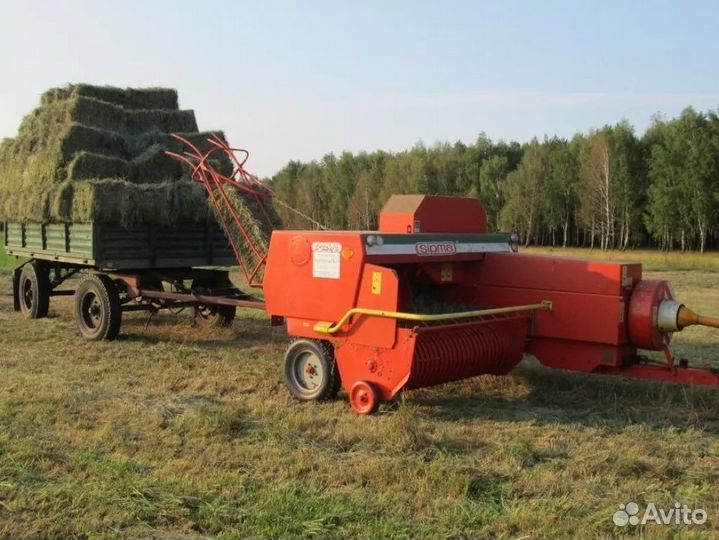 Сено в тюках 2023