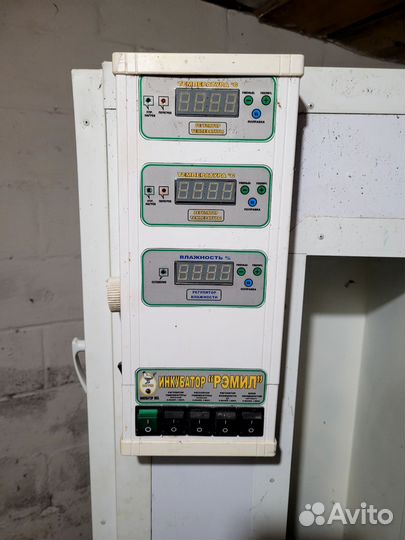 Инкубатор рэмил