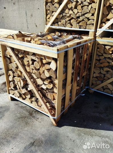 Дрова береза