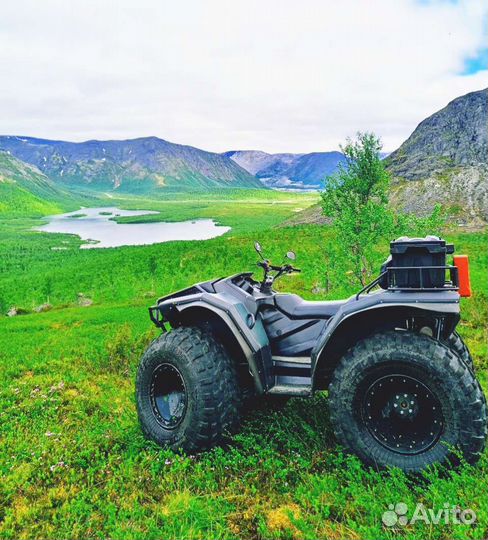 Снегоболотоход 