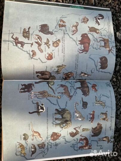 Мир эволюции 1985 яблоков