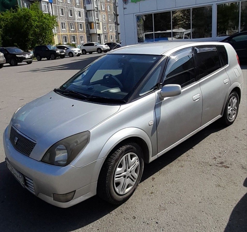 Toyota Opa: фото владельца