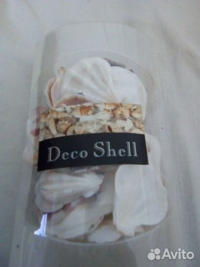 Ракушки декоративные
