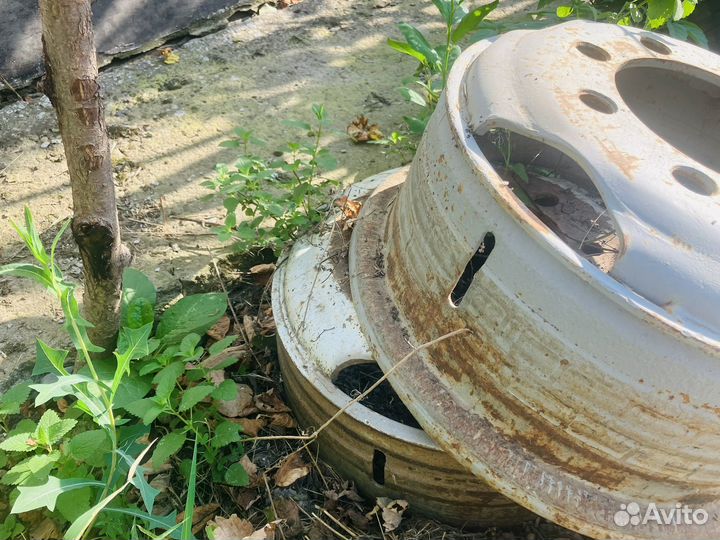 Диски на газ 53 колесные