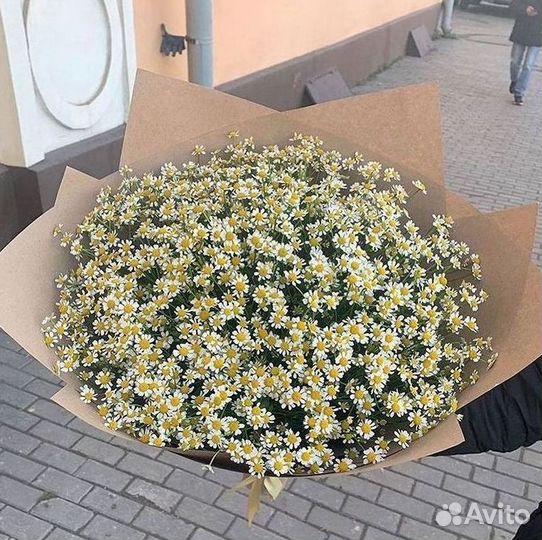 Доставка цветов. Ромашки