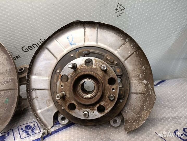 Кулак задний правый equus quoris genesis