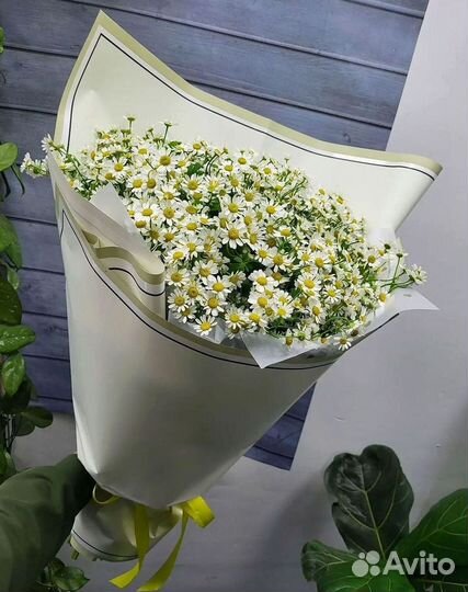 Букеты ромашек