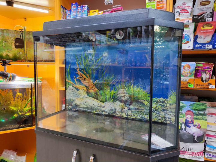 Аквариум 100 литров