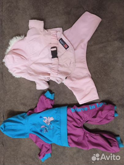 Комбинезон для собак