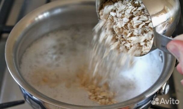 Геркулес для собак