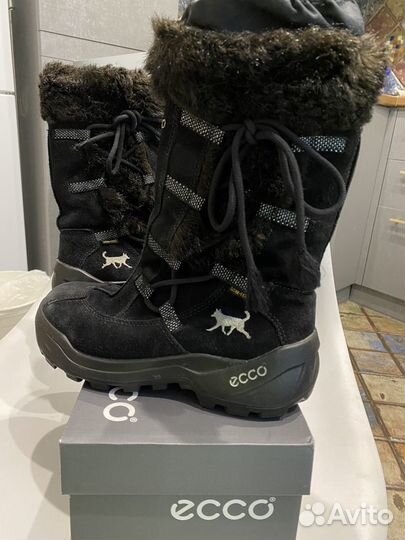 Зимние ecco 36