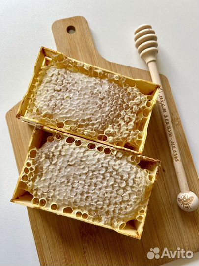 Медовые соты 2023