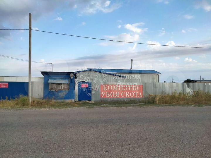 Волгоградская