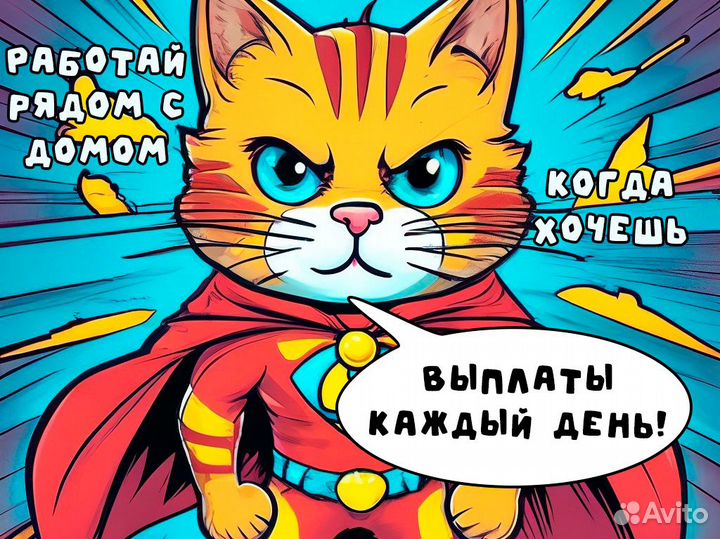 Промоутер с ежедневной оплатой