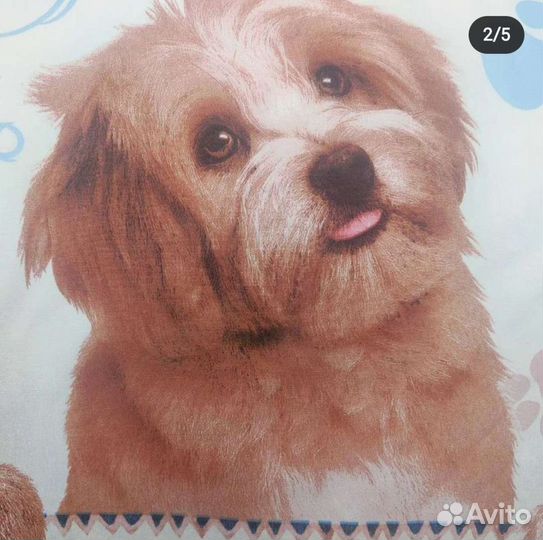 Постельное белье. Хлопок. Поплин и бязь