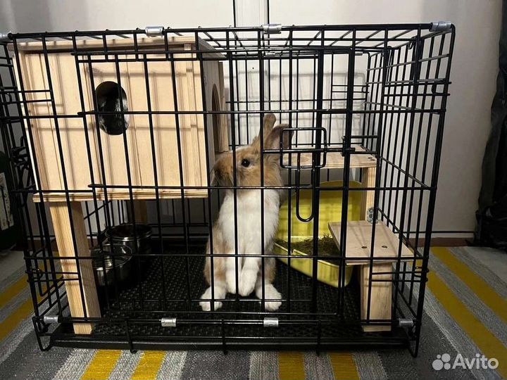 Клетка для собак N2 (63х46х50) ржд, переноска