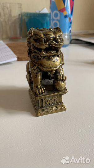 Собака фу тыква хотей