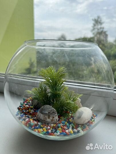 Круглый аквариум 5л