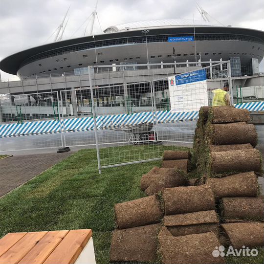 Городской газон от производителя