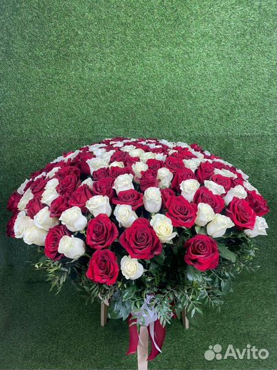 Розы 31/51/101/201 букеты Ярославль
