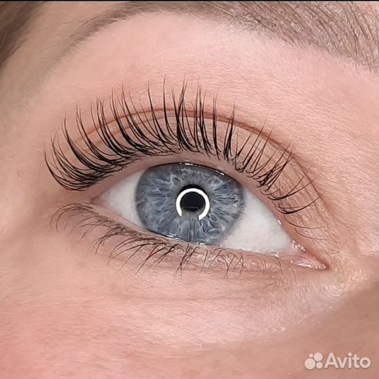 Ламинирование ресниц с Ботоксом Шушары