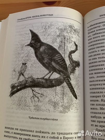 Жизнь животных Альфред Брем