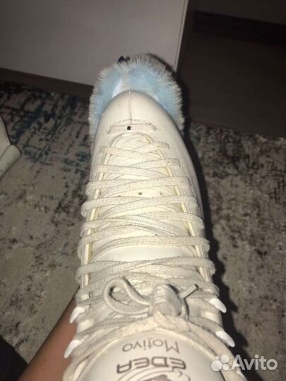 Edea motivo 255 set rotation