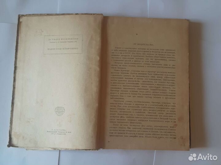 Раса и строение тела, Вейденрейх, 1929 год