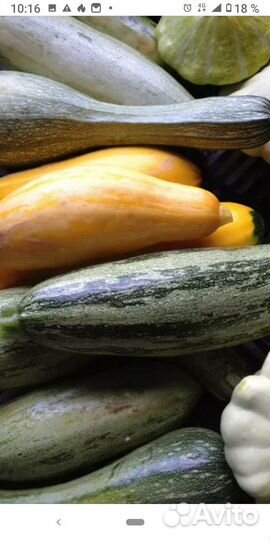 Кабачки 20/шт