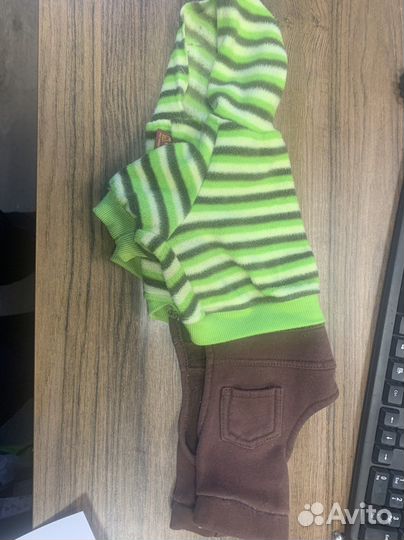 Костюм для собаки трикотаж