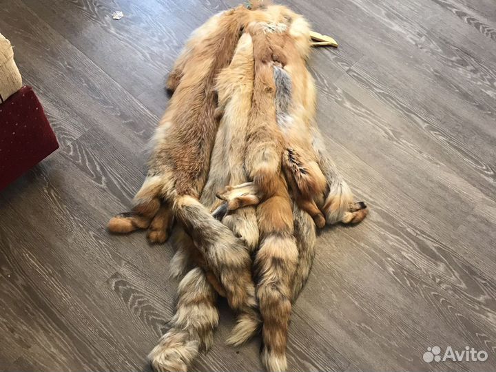 Шкуры лисы