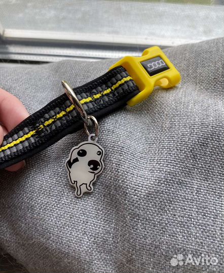 Ошейник для собак