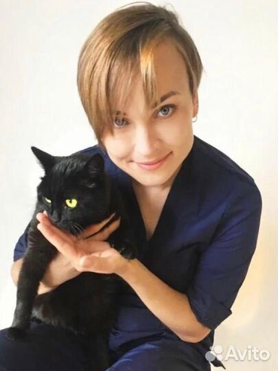 Ветеринарный врач крулосуточно