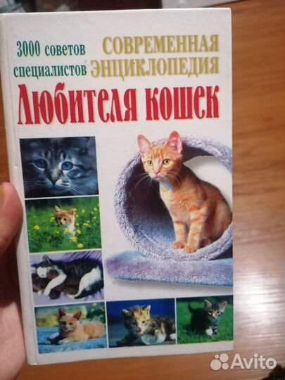 Книга о кошках