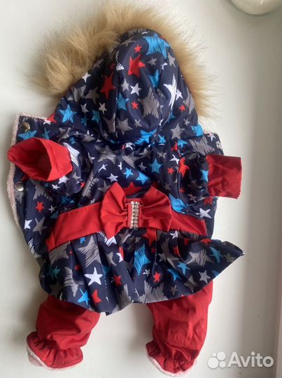 Комбинезон для маленькой собачки