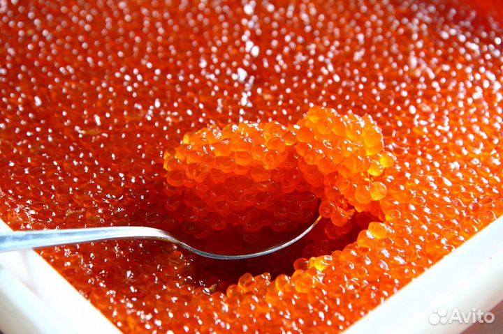 Продам икру кеты, нерки, кижуча оптом