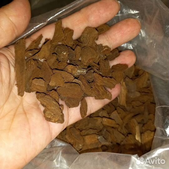 Кора Орхиата