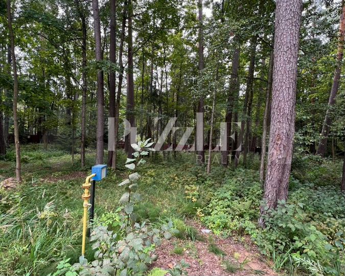 Участок 18 сот. (СНТ, ДНП)