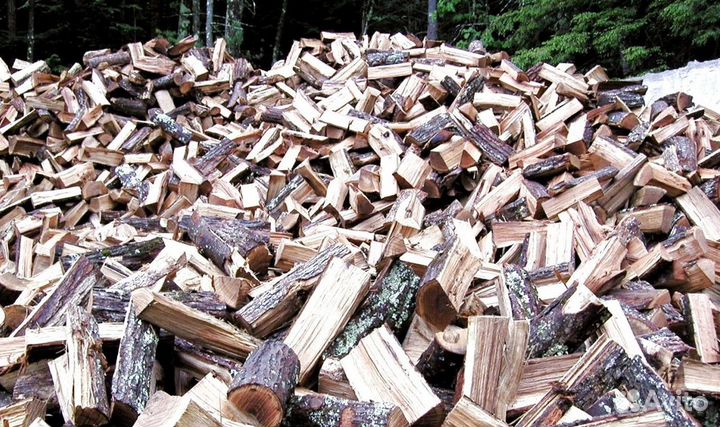 Дрова для камина