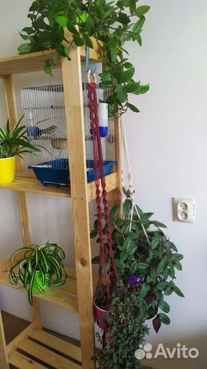 Кашпо для цветов подвесное